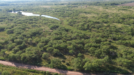 North Texas Ranch & Hunting Land for Sale with Minerals - image 13