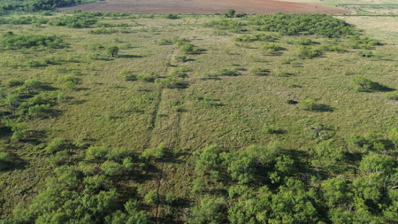 North Texas Ranch & Hunting Land for Sale with Minerals - image 14