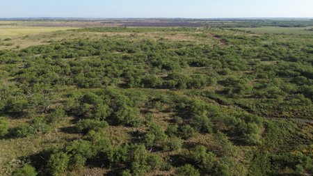North Texas Ranch & Hunting Land for Sale with Minerals - image 5