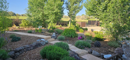 Country Home For Sale with Ample Water Rights on 40 Acres - image 36