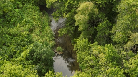 Land with Trout Stream for Sale in Richland County, Wisconsin - image 11