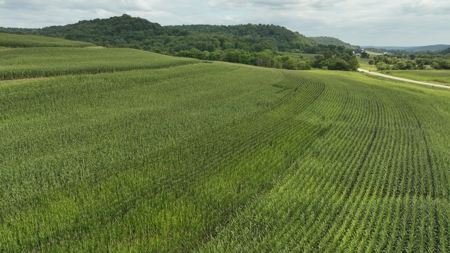 Land with Trout Stream for Sale in Richland County, Wisconsin - image 20