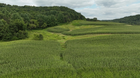 Land with Trout Stream for Sale in Richland County, Wisconsin - image 15