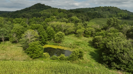 Land with Trout Stream for Sale in Richland County, Wisconsin - image 1