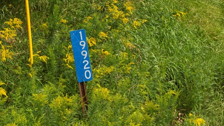 Land with Trout Stream for Sale in Richland County, Wisconsin - image 45