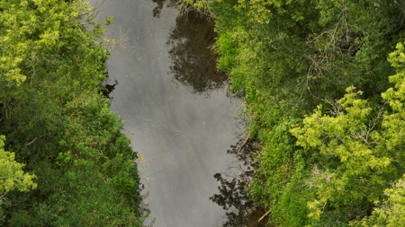 Land with Trout Stream for Sale in Richland County, Wisconsin - image 32