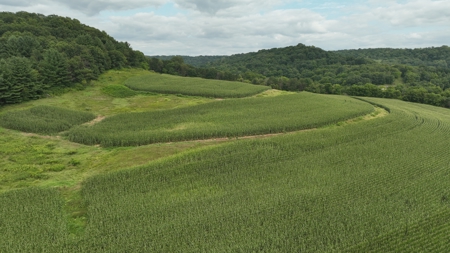 Land with Trout Stream for Sale in Richland County, Wisconsin - image 29