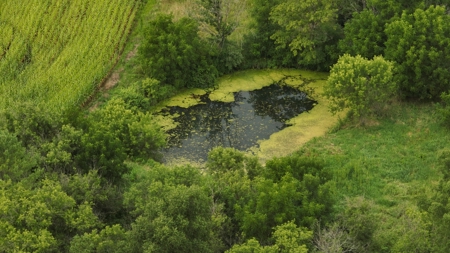 Land with Trout Stream for Sale in Richland County, Wisconsin - image 42