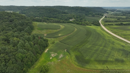Land with Trout Stream for Sale in Richland County, Wisconsin - image 19