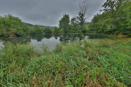 Land with Trout Stream for Sale in Richland County, Wisconsin - image 41