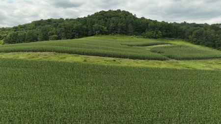 Land with Trout Stream for Sale in Richland County, Wisconsin - image 39