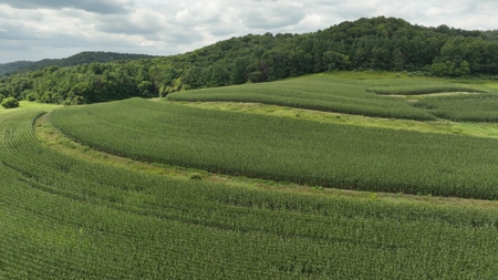 Land with Trout Stream for Sale in Richland County, Wisconsin - image 5