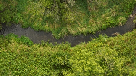 Land with Trout Stream for Sale in Richland County, Wisconsin - image 12