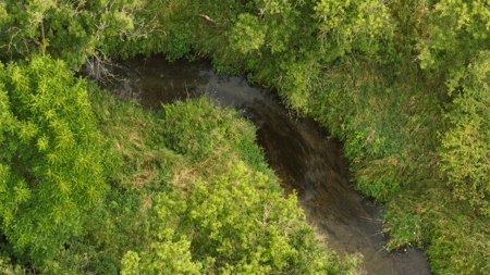 Land with Trout Stream for Sale in Richland County, Wisconsin - image 13
