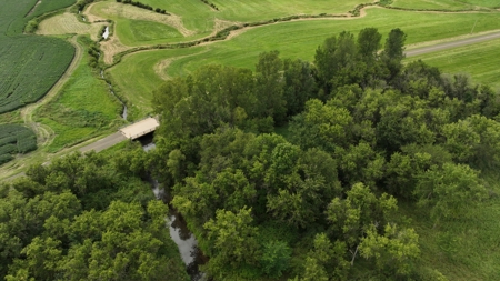 Land with Trout Stream for Sale in Richland County, Wisconsin - image 9