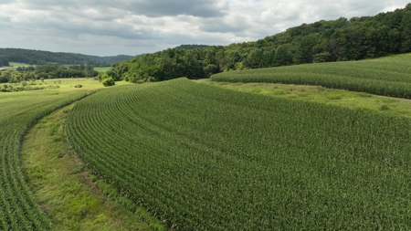Land with Trout Stream for Sale in Richland County, Wisconsin - image 7
