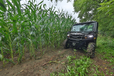 Land with Trout Stream for Sale in Richland County, Wisconsin - image 18