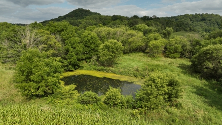 Land with Trout Stream for Sale in Richland County, Wisconsin - image 25