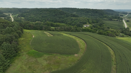 Land with Trout Stream for Sale in Richland County, Wisconsin - image 8