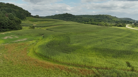 Land with Trout Stream for Sale in Richland County, Wisconsin - image 28