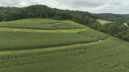Land with Trout Stream for Sale in Richland County, Wisconsin - image 6