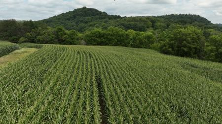 Land with Trout Stream for Sale in Richland County, Wisconsin - image 21