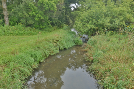 Land with Trout Stream for Sale in Richland County, Wisconsin - image 34