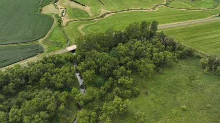 Land with Trout Stream for Sale in Richland County, Wisconsin - image 33