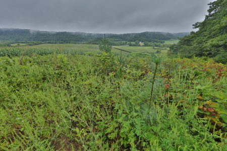 Land with Trout Stream for Sale in Richland County, Wisconsin - image 43