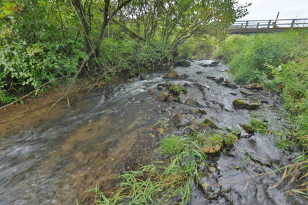 Land with Trout Stream for Sale in Richland County, Wisconsin - image 35