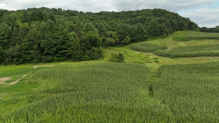 Land with Trout Stream for Sale in Richland County, Wisconsin - image 30