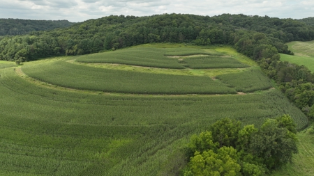 Land with Trout Stream for Sale in Richland County, Wisconsin - image 4
