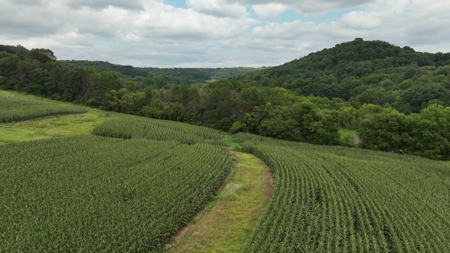 Land with Trout Stream for Sale in Richland County, Wisconsin - image 38