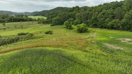 Land with Trout Stream for Sale in Richland County, Wisconsin - image 16
