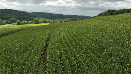 Land with Trout Stream for Sale in Richland County, Wisconsin - image 37