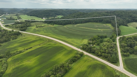 Land with Trout Stream for Sale in Richland County, Wisconsin - image 2