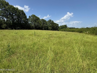 Mississippi Land for Sale Near Osyka MS & LA State Line - image 8