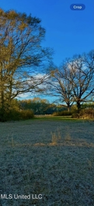Mississippi Land for Sale Near Osyka MS & LA State Line - image 14