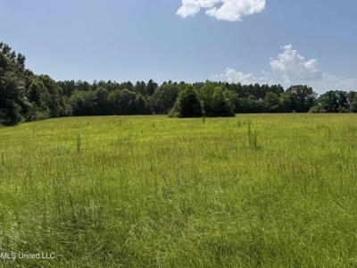 Mississippi Land for Sale Near Osyka MS & LA State Line - image 10