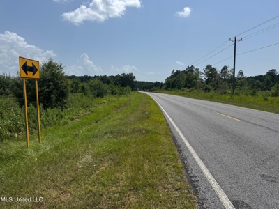 Mississippi Land for Sale Near Osyka MS & LA State Line - image 16
