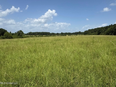 Mississippi Land for Sale Near Osyka MS & LA State Line - image 4