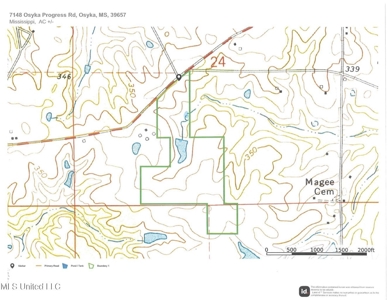 Mississippi Land for Sale Near Osyka MS & LA State Line - image 19
