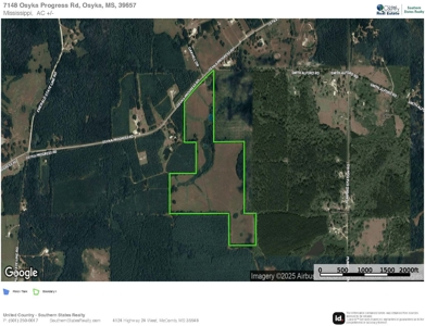 Mississippi Land for Sale Near Osyka MS & LA State Line - image 21