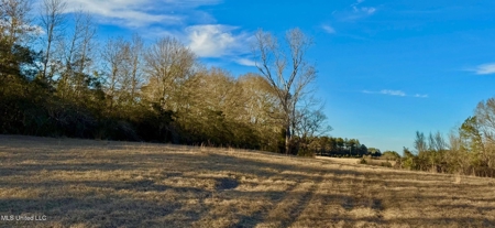 Mississippi Land for Sale Near Osyka MS & LA State Line - image 13