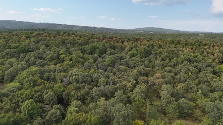 Land For sale Leflore Oklahoma  SE Oklahoma Land for - image 12
