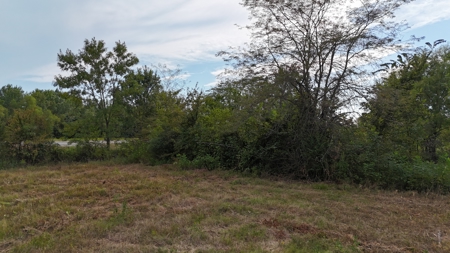 Land For sale Leflore Oklahoma  SE Oklahoma Land for - image 4