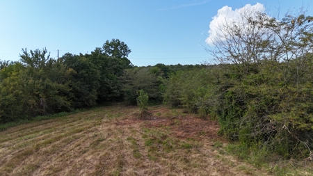 Land For sale Leflore Oklahoma  SE Oklahoma Land for - image 2