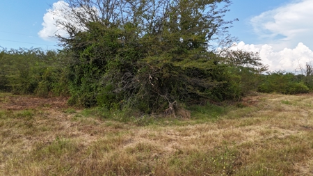 Land For sale Leflore Oklahoma  SE Oklahoma Land for - image 3