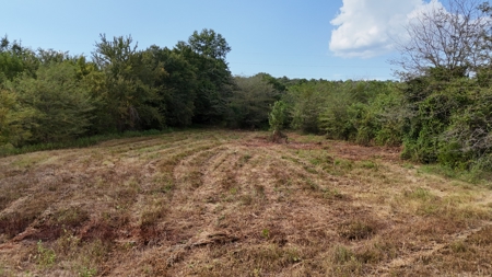 Land For sale Leflore Oklahoma  SE Oklahoma Land for - image 15