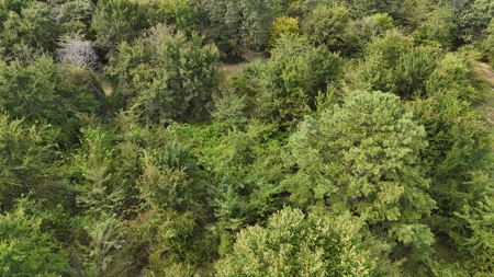 Land For sale Leflore Oklahoma  SE Oklahoma Land for - image 10